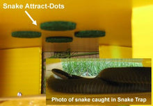Load image into Gallery viewer, Snake Trap Humane