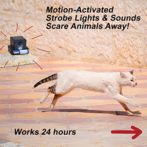 PestAway Ultrasonic Animal Repeller, Predator Guard