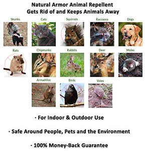 Natural Armor Repellent Spray for Rodents & Animals. Cats, Rats, Squirrels, Mouse & Deer. Repeller & Deterrent for Dogs, Critters, Mice, Raccoon & Skunk Peppermint Pint Ready to Use
