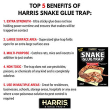 Load image into Gallery viewer, Harris Supersized Snake Glue Trap - Extra Strength, Non-Toxic and Multipurpose
