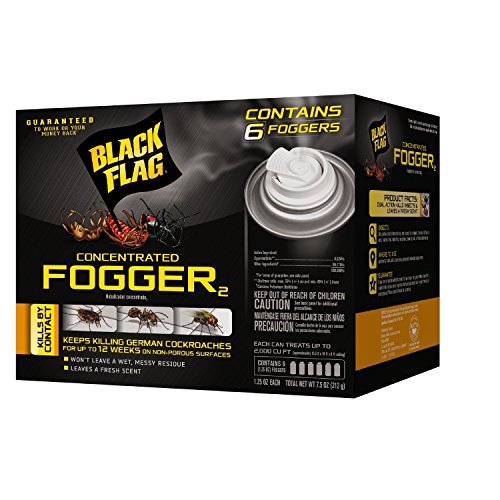 Black Flag Window Fly Trap - 4 pack