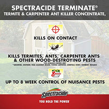 Load image into Gallery viewer, Spectracide Carpenter Ant &amp; Termite Insect Killer (32 oz)