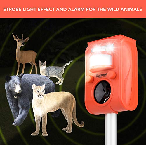 DURANOM Ultrasonic Solar Powered Animal Repeller w/ Motion Sensor, Str –  Pest Control Everything