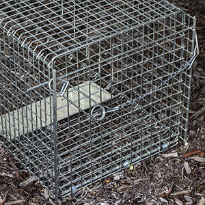 OxGord Live Animal Trap, 32" X 12" X 12" Catch & Release Cage