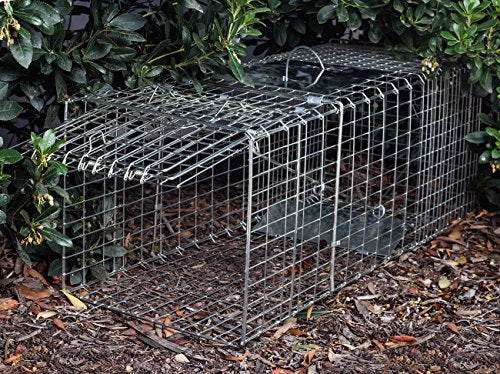 Harris Catch and Release Humane Small Squirrel/Rat Cage Rat Traps at