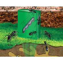 Load image into Gallery viewer, TERRO T1812 Outdoor Liquid Ant Killer Bait Stakes (8 Count)