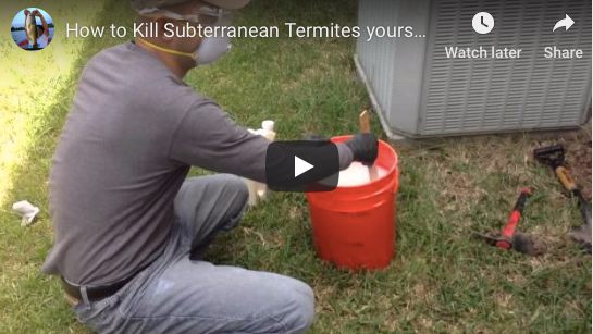 How NOT To Treat For Termites: Video Guide