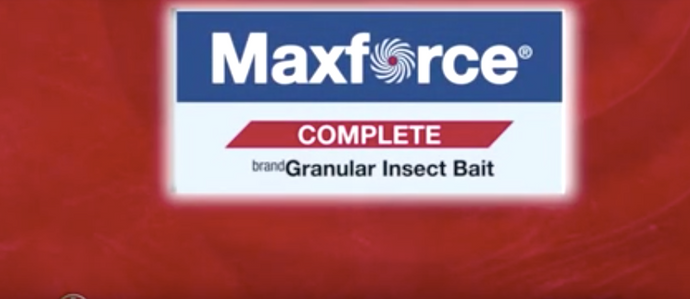 Maxforce Complete Insect Granules Video Guide