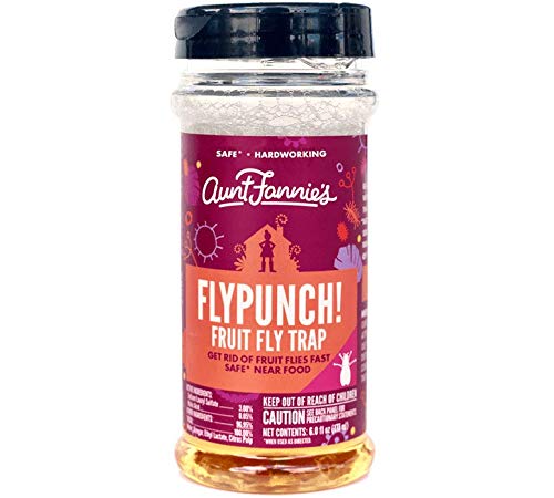 FlyPunch Non-Toxic Indoor Fruit Fly Trap (6 oz)