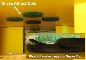 Snake Trap Humane – Pest Control Everything
