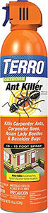 TERRO Outdoor Ant Killer Aerosol Spray (19 oz.)