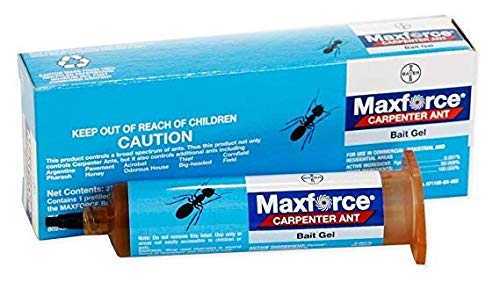 Maxforce Carpenter Ant Gel Bait (One 27g Tube)