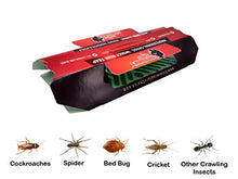 Load image into Gallery viewer, Exterminators Choice Large Non-Toxic Insect Glue Traps (10 Pack)