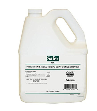 Safer Brand Pyrethrin & Insecticidal Soap Concentrate (1 gallon)
