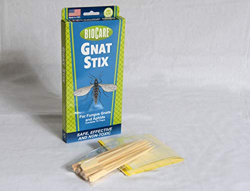 BioCare Gnat Stix Indoor Traps, Nontoxic and Pesticide-Free (12 Count) –  Pest Control Everything