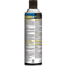 Load image into Gallery viewer, Black Flag Flying Insect Killer Aerosol (12 Pack of 18 oz. Cans)