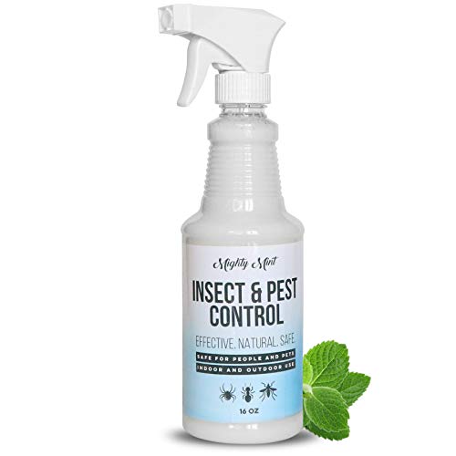 Mighty Mint Insect and Pest Control Peppermint Oil, All Natural Spray (16 oz)