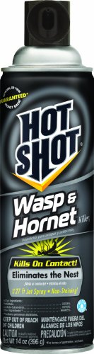 Hot Shot Wasp & Hornet Killer (14 oz Aerosol, 2 Pack)