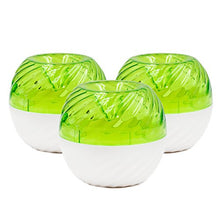 Load image into Gallery viewer, FlyFix Reusable Fruit Fly Trap (3 Green Traps)