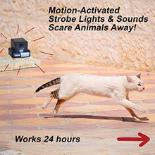 Load image into Gallery viewer, PREDATORGUARD Ultrasonic Outdoor Animal &amp; Cat Repeller with Motion Sensor