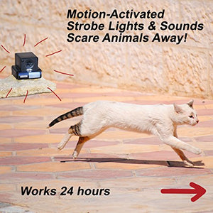 PREDATORGUARD Ultrasonic Outdoor Animal & Cat Repeller with Motion Sensor