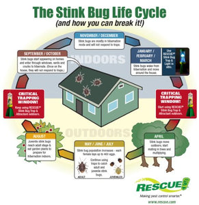 RESCUE! Non-Toxic Reusable Stink Bug Trap