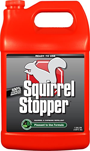 Messina Wildlife Squirrel Stopper with Refill, 1 gallon