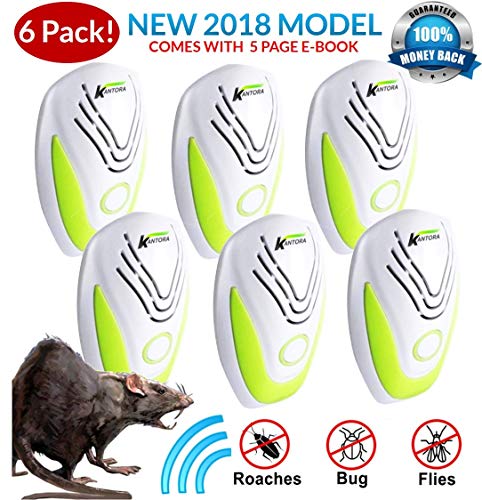 HOT-4PCS Mouse Trap Mouse Traps Indoor Mouse Traps For House Mouse Traps  Outdoor Mice Traps For House Indoor - AliExpress