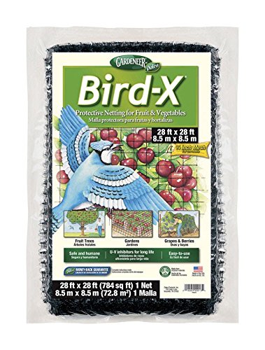 Bird-X Protective Netting 28' x 28' (1 Pack)