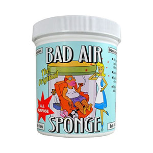 Bad Air Sponge Odor Absorbent (14 ounce , 2 Pack)