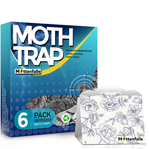 Cloth Moth Trap (6-pack)