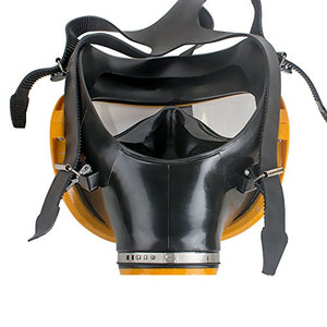Zinnor Full Face Gas Mask Organic Vapor Respirator w/Activated Carbon Respirator