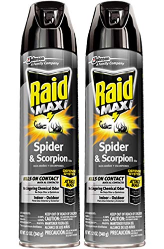 Raid Max Spider & Scorpion Killer (12 oz, 2 Pack)
