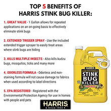 Load image into Gallery viewer, Harris Stink Bug Killer, Liquid Spray with Odorless and Non-Staining Extended Residual Kill Formula (Gallon)