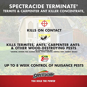 Spectracide Carpenter Ant & Termite Insect Killer (32 oz)