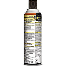 Load image into Gallery viewer, Black Flag Spider and Scorpion Killer Aerosol Spray, (16 oz, Pack of 2)