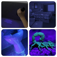 Load image into Gallery viewer, UV Bed Bug Flashlight