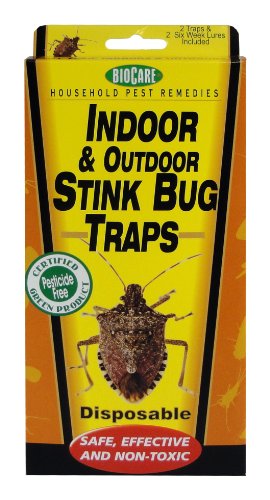BioCare Indoor Stink Bug Trap