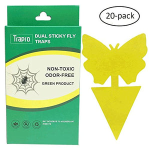 Faicuk Fruit Fly / Gnat Trap (20 Pack)
