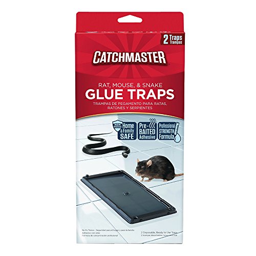 Catchmaster 402 Baited Rat, Mouse and Snake Glue Traps Professional St