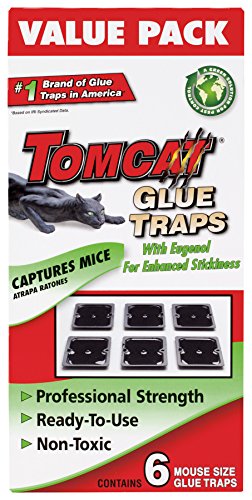 Tomcat Mouse Size Glue Traps, 6-Pack (Eugenol Formula)