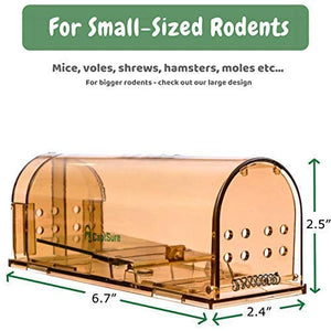 CaptSure 2019 Humane Smart Indoor/Outdoor Mouse Trap for Small Rodents/Voles/Moles, Live No Kill Catcher (2 Pack)