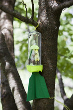 Load image into Gallery viewer, RESCUE! Non-Toxic Reusable Stink Bug Trap