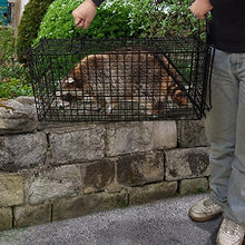 Load image into Gallery viewer, Large Live Animal Trap, Humane Catch Release Cage (31&quot;X10.5&quot;X11.5&quot;)