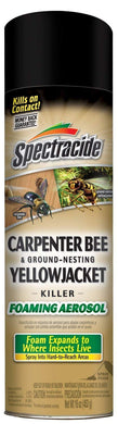 Spectracide Carpenter Bee & Ground-Nesting Yellowjacket Killer Foaming Aerosol (Pack Of 2)