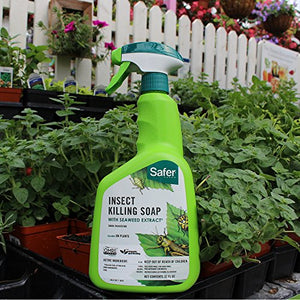 Safer Brand 5110-6 Insect Killing Soap (32 oz Spray Bottle)