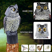 Load image into Gallery viewer, Owl Decoy with Rotating Head Bird Deterrent