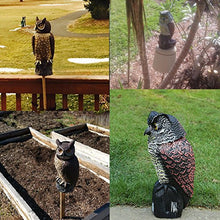 Load image into Gallery viewer, Owl Decoy with Rotating Head Bird Deterrent