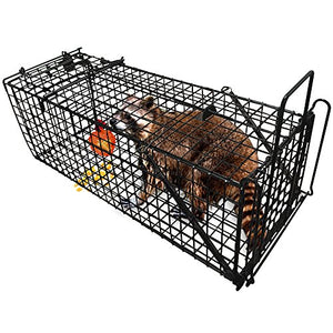 Large Live Animal Trap, Humane Catch Release Cage (31"X10.5"X11.5")