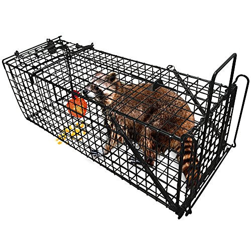 Humane Live Animal Trap Control Steel Cage for Rat Raccoon Skunk